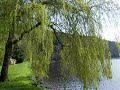 St Mullins in South County Carlow