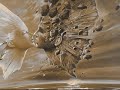 Jacob Richter - Drop the beat [original mix]