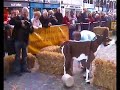 Chester Cheese Rolling 2008