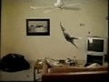 VIDEOS GOLPES HUMOR 3