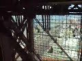 Visiting Blackpool Tower