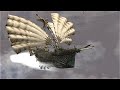 Lineage 2 - Gracia Final [Flyships]