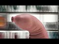 Beast Animation - Master Bator