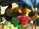 Real Tegucigalpa - Shopping Experiences