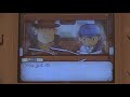 Professor Layton and the Curious Village English Intro