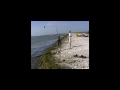 kite video JR Margarita v1.wmv