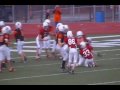 Cardinals Bengals Superbowl 2009 31-13 No. 12
