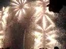 correfocs-a-beneixama.html