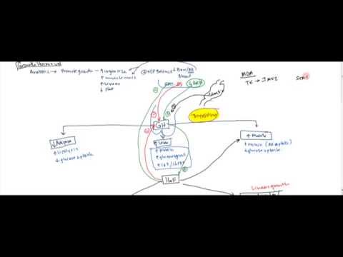 how to test for gh deficiency