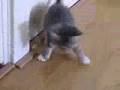 clip video Lady Baby's Gone
