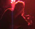 Singvogel - S�vng�ngerboogie