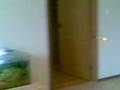videos de me and my little hli