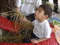 nenem do papai e da mamae