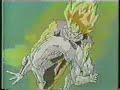 DBZ + Leeroy