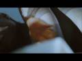 Trailer IFFR 2009
