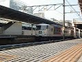 [ネコ]線路で寝てたネコが、発車した電車の脇からスルスルと。のサムネイル