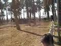 Saad Al Adhami Riding