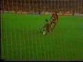 Flamengo 3x0 Botafogo (1992 Todos os gols)