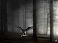Someday - Crossfade