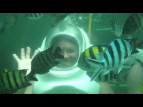 sapi island kota kinabalu - Ama...