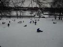 Suhasini Sledding