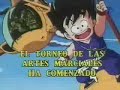 Dragon Ball - 134-Un Nuevo Campeonato De Artes Marciales-pt1