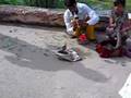 Indian Boy Charming a Baby Python