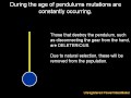 theist-arguments-ep-3-attacking-evolution-6-lying.html