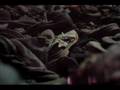 Auschwitz - Birkenau