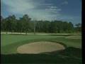 Angels Trace Golf Course - near Myrtle Beach, SC
