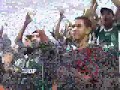 Chapecoense x Figueirense Torcida Organizada Raça Verde 2