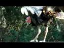 videos de Gobbler Junior Walks the Line