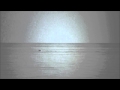 FujiFilm FinePix S3200 (Dolphins in Black Sea)