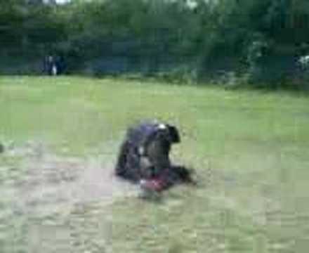 st edmund campion pile on