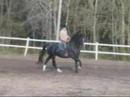 showgraaf