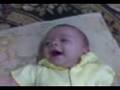 ملك محمد لطفي 2