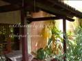 JVI - Great Place To Relax