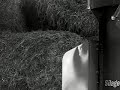 Service You Can Trust - (J.O.Y.Pt.II)