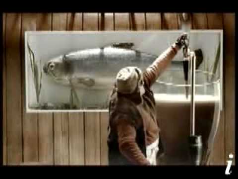 The barman in the fridge
