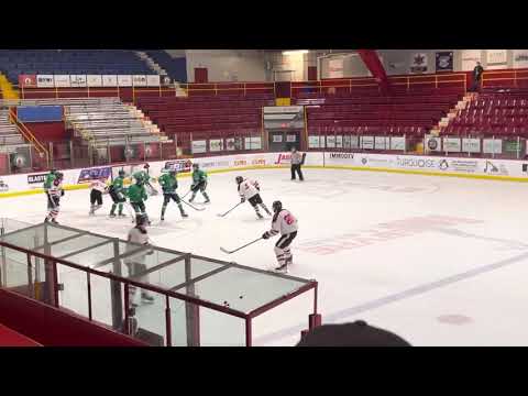 Shot from blue line and goal  (Red 20)