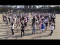 It is the cirno dance OFF in Aichi. 300 persons gathered.