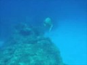 ??,?????,?????,Diving Okinawa: Tokushiki Island Paradise ??,?????,?????,Diving Okinawa: Tokushiki Island Paradise