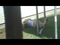 Mickey the silly dog