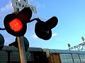 Early Morning Southwest Dr Crossing Video 1 Early Morning Southwest Dr Crossing Video 1
