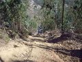 14 YZ 250