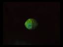 ecologic flash.flv
