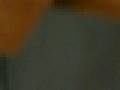 videos de porkie pine