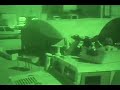 special operations firefight in iraq