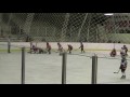 NH vs. Southern Tier Period 3 (12-5-09).mpg