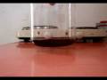 videos de How to make Manganese(II) Chloride